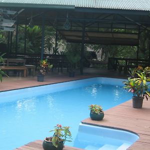 Rainforest Eco Lodge
